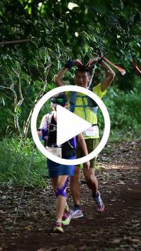 BIB:  <button type="button" onclick="openModal(27533072)" class="btn btn-primary btn-sm float-right" data-toggle="modal" data-target=".modal-high-quality">
                <i class="fa fa-download"></i> Download
                </button>